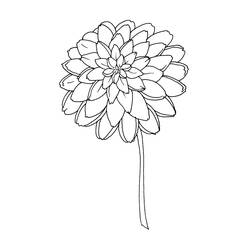 Dibujo para colorear: Flores (Naturaleza) #155097 - Dibujos para Colorear e Imprimir Gratis