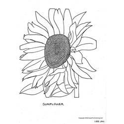 Dibujo para colorear: Flores (Naturaleza) #155121 - Dibujos para Colorear e Imprimir Gratis