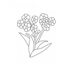 Dibujo para colorear: Flores (Naturaleza) #155128 - Dibujos para Colorear e Imprimir Gratis