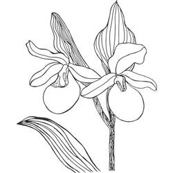 Dibujo para colorear: Flores (Naturaleza) #155130 - Dibujos para Colorear e Imprimir Gratis