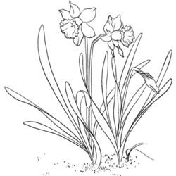 Dibujo para colorear: Flores (Naturaleza) #155166 - Dibujos para Colorear e Imprimir Gratis