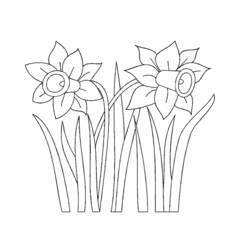 Dibujo para colorear: Flores (Naturaleza) #155167 - Dibujos para Colorear e Imprimir Gratis