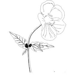 Dibujo para colorear: Flores (Naturaleza) #155182 - Dibujos para Colorear e Imprimir Gratis