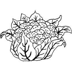 Dibujo para colorear: Flores (Naturaleza) #155194 - Dibujos para Colorear e Imprimir Gratis