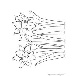 Dibujo para colorear: Flores (Naturaleza) #155217 - Dibujos para Colorear e Imprimir Gratis