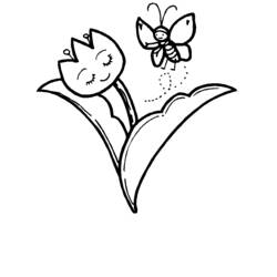 Dibujo para colorear: Flores (Naturaleza) #155239 - Dibujos para Colorear e Imprimir Gratis