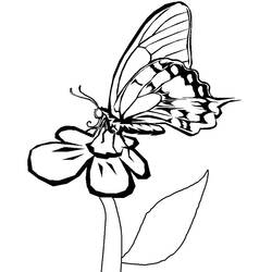 Dibujo para colorear: Flores (Naturaleza) #155241 - Dibujos para Colorear e Imprimir Gratis