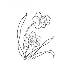 Dibujo para colorear: Flores (Naturaleza) #155250 - Dibujos para colorear