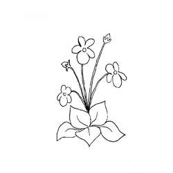 Dibujo para colorear: Flores (Naturaleza) #155252 - Dibujos para Colorear e Imprimir Gratis