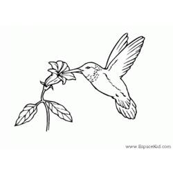 Dibujo para colorear: Flores (Naturaleza) #155258 - Dibujos para Colorear e Imprimir Gratis