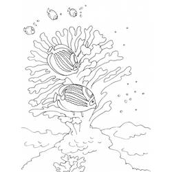 Dibujo para colorear: Fondo del mar (Naturaleza) #160248 - Dibujos para colorear