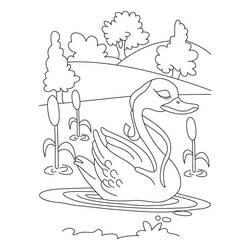 Dibujo para colorear: Lago (Naturaleza) #166076 - Dibujos para colorear