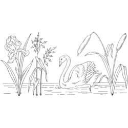 Dibujo para colorear: Lago (Naturaleza) #166100 - Dibujos para colorear