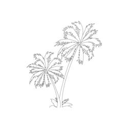 Dibujo para colorear: Palma (Naturaleza) #161122 - Dibujos para colorear