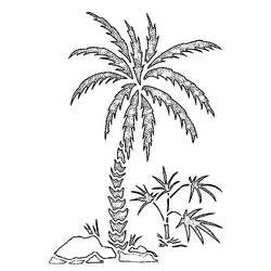 Dibujo para colorear: Palma (Naturaleza) #161123 - Dibujos para colorear