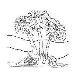 Dibujo para colorear: Palma (Naturaleza) #161153 - Dibujos para colorear