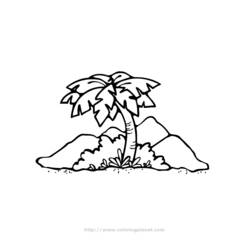Dibujo para colorear: Palma (Naturaleza) #161169 - Dibujos para colorear