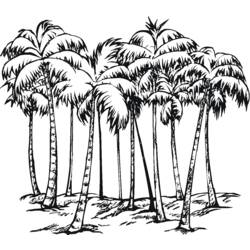 Dibujo para colorear: Palma (Naturaleza) #161177 - Dibujos para colorear