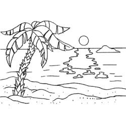 Dibujo para colorear: Palma (Naturaleza) #161210 - Dibujos para colorear