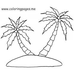 Dibujo para colorear: Palma (Naturaleza) #161278 - Dibujos para colorear
