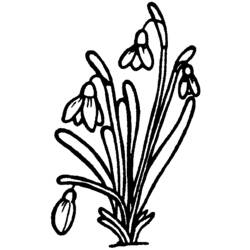 Dibujo para colorear: Ramo de flores (Naturaleza) #160845 - Dibujos para Colorear e Imprimir Gratis