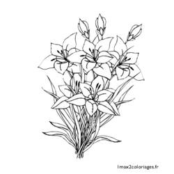 Dibujo para colorear: Ramo de flores (Naturaleza) #160865 - Dibujos para Colorear e Imprimir Gratis