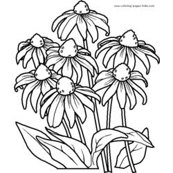 Dibujo para colorear: Ramo de flores (Naturaleza) #160888 - Dibujos para Colorear e Imprimir Gratis