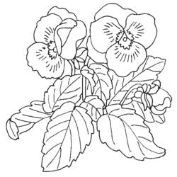 Dibujo para colorear: Ramo de flores (Naturaleza) #160960 - Dibujos para Colorear e Imprimir Gratis