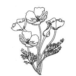 Dibujo para colorear: Ramo de flores (Naturaleza) #161045 - Dibujos para colorear