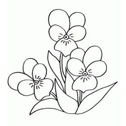 Dibujo para colorear: Ramo de flores (Naturaleza) #161093 - Dibujos para colorear