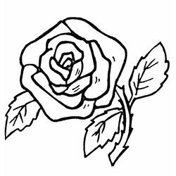 Dibujo para colorear: Rosas (Naturaleza) #161870 - Dibujos para colorear