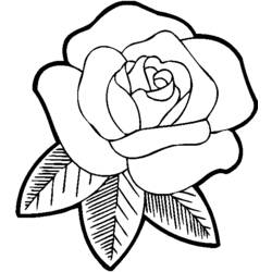 Dibujo para colorear: Rosas (Naturaleza) #161871 - Dibujos para colorear