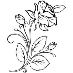 Dibujo para colorear: Rosas (Naturaleza) #161874 - Dibujos para colorear