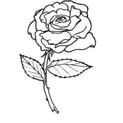 Dibujo para colorear: Rosas (Naturaleza) #161884 - Dibujos para Colorear y Pintar