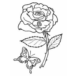 Dibujo para colorear: Rosas (Naturaleza) #161885 - Dibujos para colorear