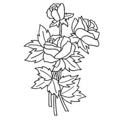 Dibujo para colorear: Rosas (Naturaleza) #161895 - Dibujos para colorear