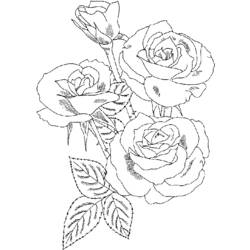 Dibujo para colorear: Rosas (Naturaleza) #161910 - Dibujos para Colorear e Imprimir Gratis