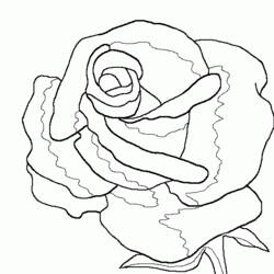 Dibujo para colorear: Rosas (Naturaleza) #161912 - Dibujos para Colorear e Imprimir Gratis