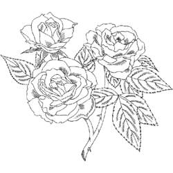 Dibujo para colorear: Rosas (Naturaleza) #161913 - Dibujos para Colorear e Imprimir Gratis