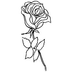 Dibujo para colorear: Rosas (Naturaleza) #161935 - Dibujos para Colorear e Imprimir Gratis