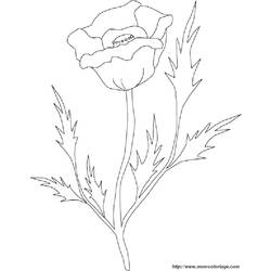 Dibujo para colorear: Rosas (Naturaleza) #161975 - Dibujos para Colorear e Imprimir Gratis
