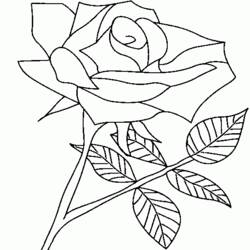 Dibujo para colorear: Rosas (Naturaleza) #161982 - Dibujos para Colorear e Imprimir Gratis