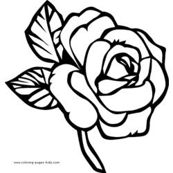 Dibujo para colorear: Rosas (Naturaleza) #162017 - Dibujos para colorear