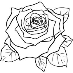 Dibujo para colorear: Rosas (Naturaleza) #162072 - Dibujos para Colorear y Pintar