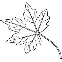 Dibujo para colorear: Temporada de Otoño (Naturaleza) #164082 - Dibujos para Colorear e Imprimir Gratis