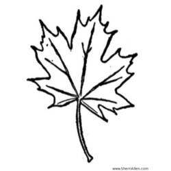 Dibujo para colorear: Temporada de Otoño (Naturaleza) #164096 - Dibujos para Colorear e Imprimir Gratis