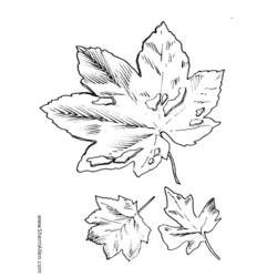 Dibujo para colorear: Temporada de Otoño (Naturaleza) #164145 - Dibujos para Colorear e Imprimir Gratis