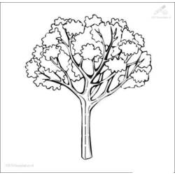 Dibujo para colorear: Temporada de Otoño (Naturaleza) #164163 - Dibujos para Colorear e Imprimir Gratis