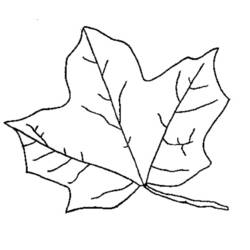 Dibujo para colorear: Temporada de Otoño (Naturaleza) #164173 - Dibujos para Colorear e Imprimir Gratis