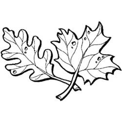 Dibujo para colorear: Temporada de Otoño (Naturaleza) #164195 - Dibujos para Colorear e Imprimir Gratis